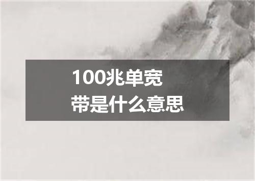 100兆单宽带是什么意思