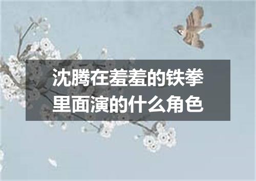 沈腾在羞羞的铁拳里面演的什么角色