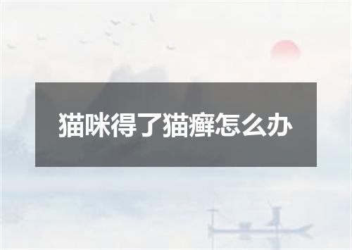 猫咪得了猫癣怎么办