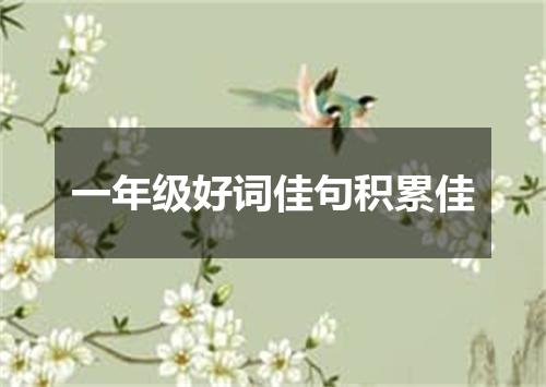 一年级好词佳句积累佳