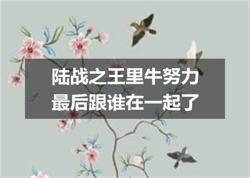 陆战之王里牛努力最后跟谁在一起了