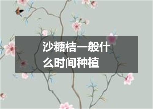 沙糖桔一般什么时间种植