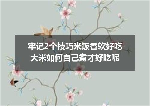 牢记2个技巧米饭香软好吃 大米如何自己煮才好吃呢