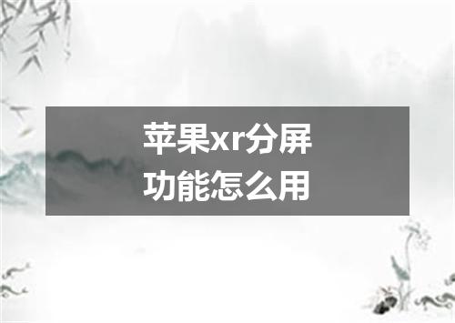苹果xr分屏功能怎么用
