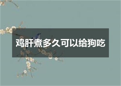 鸡肝煮多久可以给狗吃