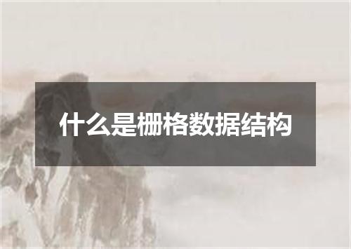 什么是栅格数据结构