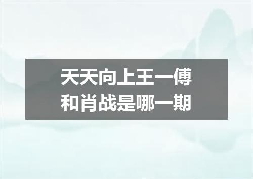 天天向上王一傅和肖战是哪一期