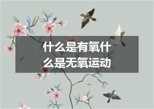 什么是有氧什么是无氧运动