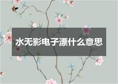 水无影电子漂什么意思