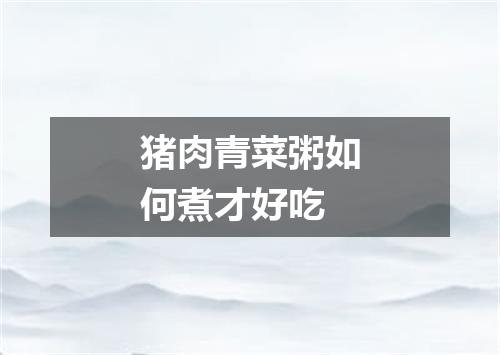 猪肉青菜粥如何煮才好吃