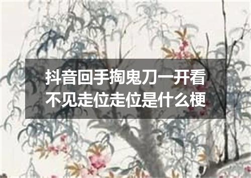 抖音回手掏鬼刀一开看不见走位走位是什么梗