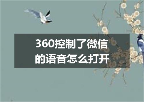 360控制了微信的语音怎么打开