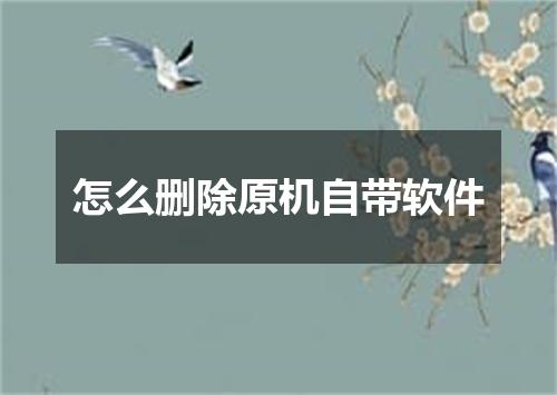 怎么删除原机自带软件