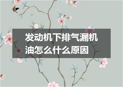 发动机下排气漏机油怎么什么原因