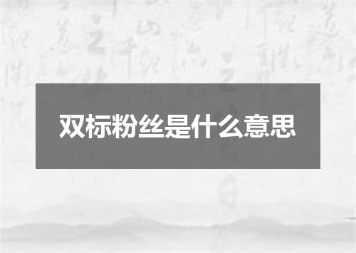 双标粉丝是什么意思