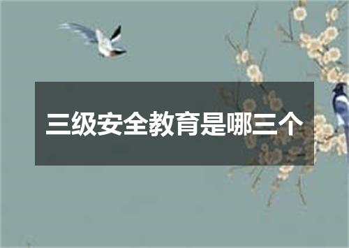 三级安全教育是哪三个