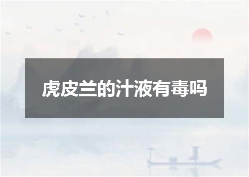 虎皮兰的汁液有毒吗