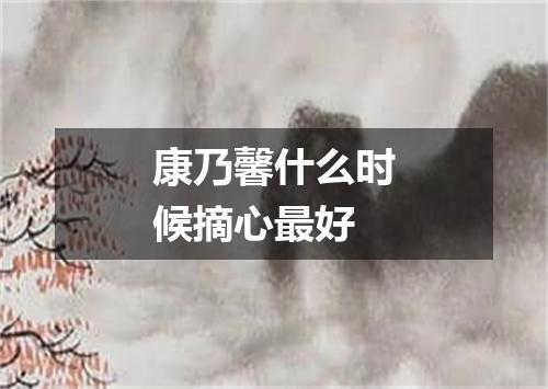 康乃馨什么时候摘心最好