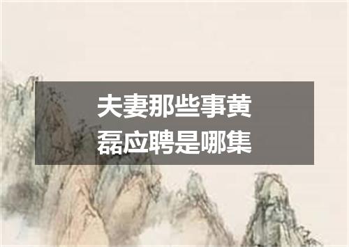 夫妻那些事黄磊应聘是哪集