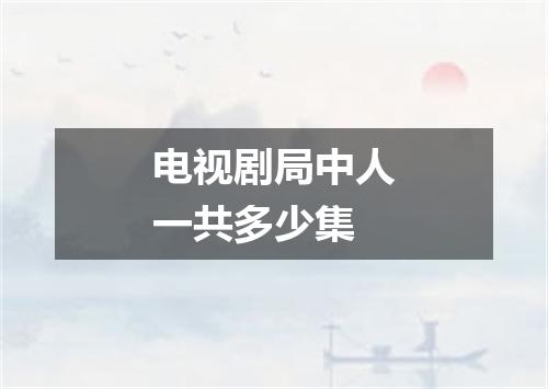 电视剧局中人一共多少集