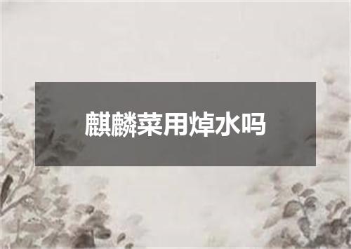 麒麟菜用焯水吗