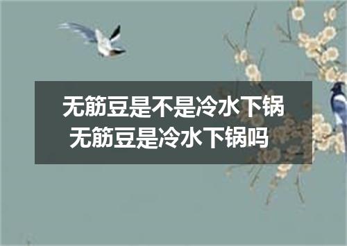 无筋豆是不是冷水下锅 无筋豆是冷水下锅吗