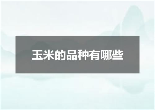 玉米的品种有哪些