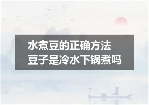水煮豆的正确方法 豆子是冷水下锅煮吗
