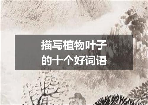 描写植物叶子的十个好词语