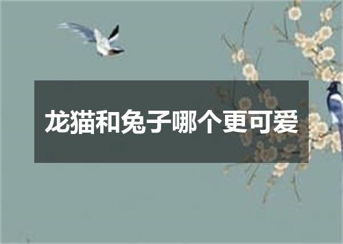龙猫和兔子哪个更可爱