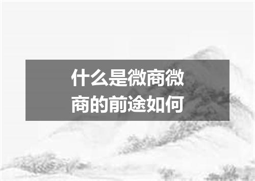 什么是微商微商的前途如何