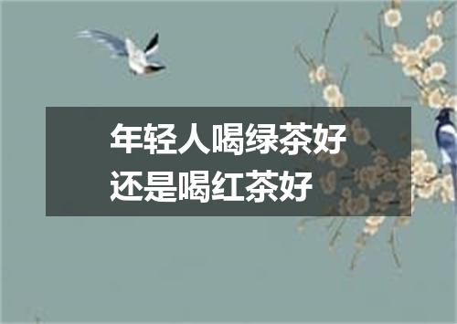 年轻人喝绿茶好还是喝红茶好