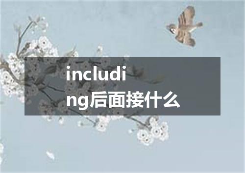 including后面接什么