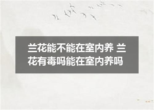 兰花能不能在室内养 兰花有毒吗能在室内养吗