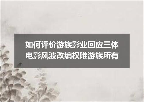 如何评价游族影业回应三体电影风波改编权唯游族所有