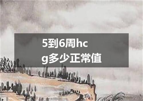 5到6周hcg多少正常值