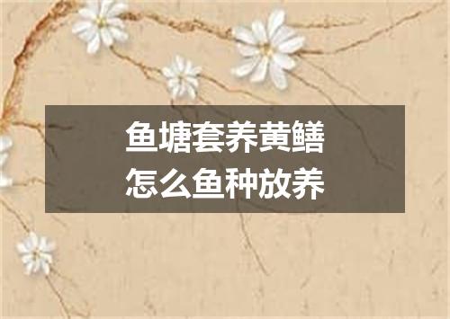 鱼塘套养黄鳝怎么鱼种放养
