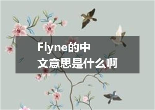 Flyne的中文意思是什么啊