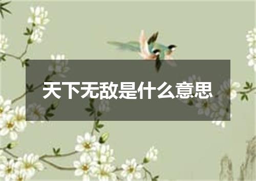 天下无敌是什么意思