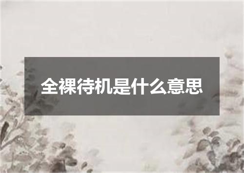 全裸待机是什么意思