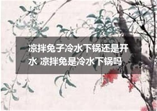 凉拌兔子冷水下锅还是开水 凉拌兔是冷水下锅吗