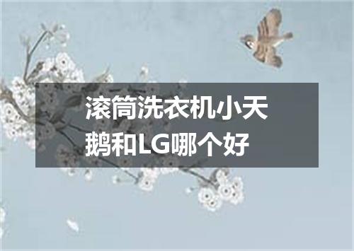 滚筒洗衣机小天鹅和LG哪个好