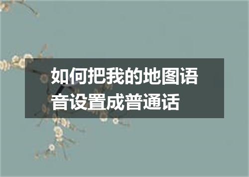 如何把我的地图语音设置成普通话