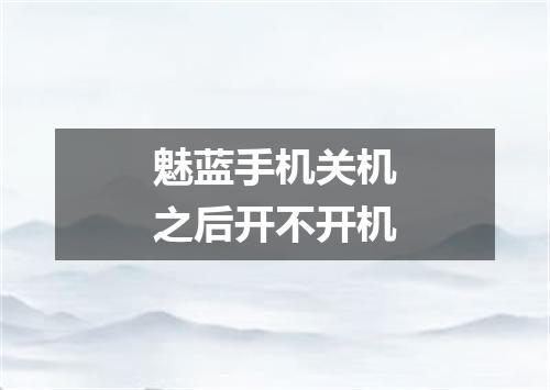 魅蓝手机关机之后开不开机