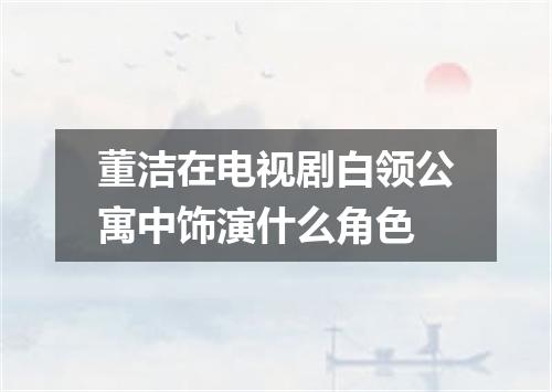 董洁在电视剧白领公寓中饰演什么角色
