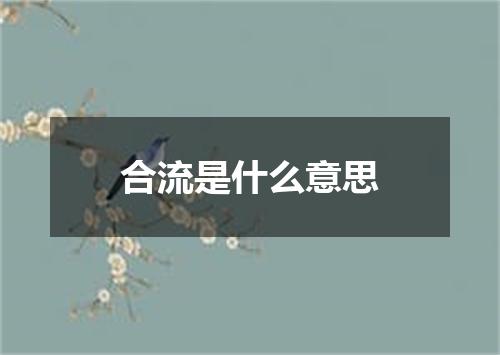 合流是什么意思