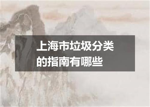 上海市垃圾分类的指南有哪些