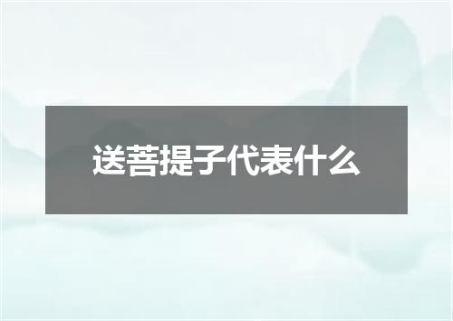 送菩提子代表什么