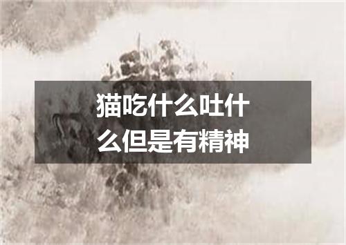 猫吃什么吐什么但是有精神