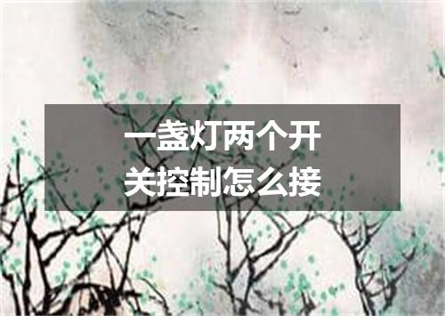 一盏灯两个开关控制怎么接